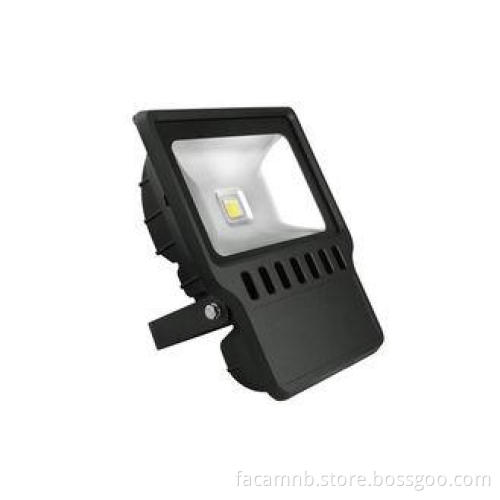 IP65 Waterproof LED Flood Light 100W 1pc COB Bridgelux With